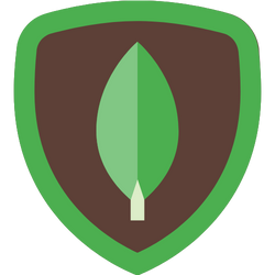 icon5